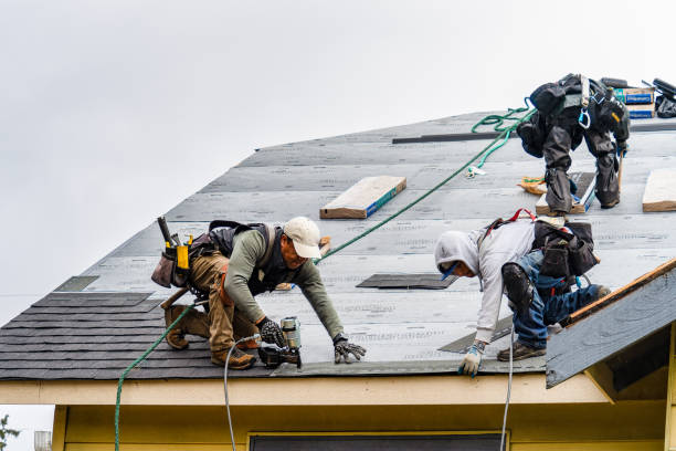 Professional Flat Roof Repair technician working in Lobelville, TN